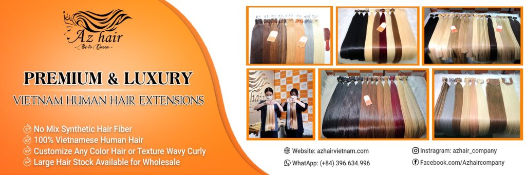 the biggest wholesale hair distributor in Vietnam