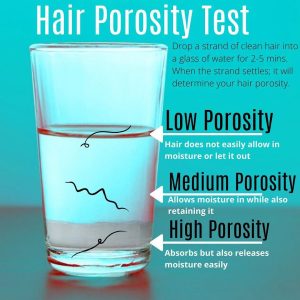 Hair Porosity Test