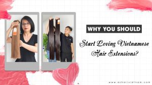 why you should love vietnamese hair extensions