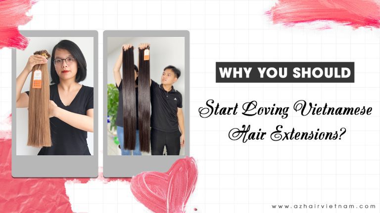 why you should love vietnamese hair extensions