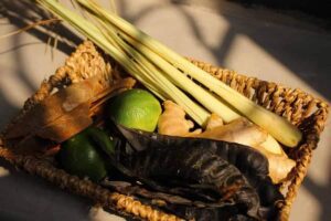 Natural herbal that Vietnamese women use for washing their hair