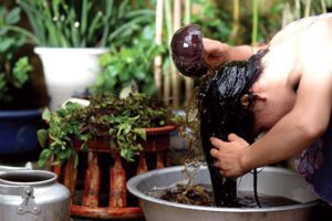 Vietnamese women wash their hair with natural herbal