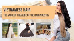 Vietnamese-Hair-The-Valuest-Treasure-of-The-Hair-Industry