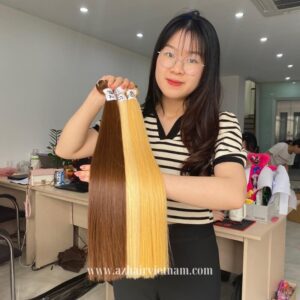 Vietnamese-Machine-Weft-Extensions-Multiple-Colored-Top-Knot-Hair-Quality-Special-Price