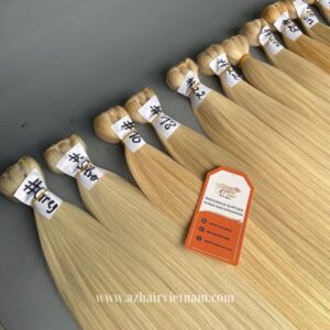 Vietnamese-Machine-Weft-Extensions-Multiple-Colored-Top-Knot-Hair-Quality-Special-Price