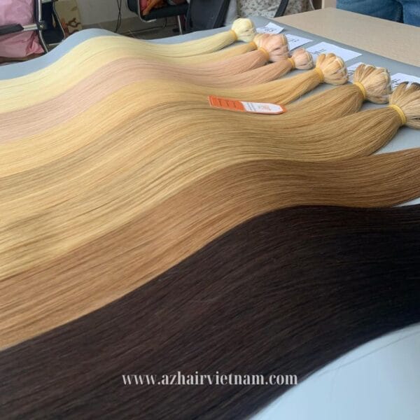 Vietnamese-Machine-Weft-Hair-Extensions-Latest-Color -High-end-Quality-Special-Price