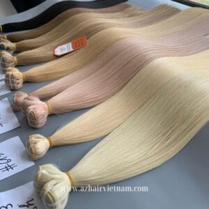 Vietnamese-Machine-Weft-Hair-Extensions-Latest-Color -High-end-Quality-Special-Price