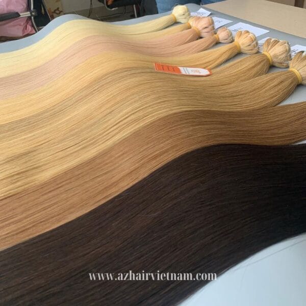 Vietnamese-Machine-Weft-Hair-Extensions-Latest-Color -High-end-Quality-Special-Price