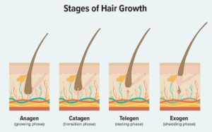 How-To-Make-Your-Hair-Grow-Faster-and-Stronger