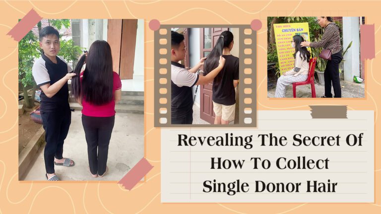 Revealing-The-Secret-Of-How-To-Collect-Single-Donor-Hair