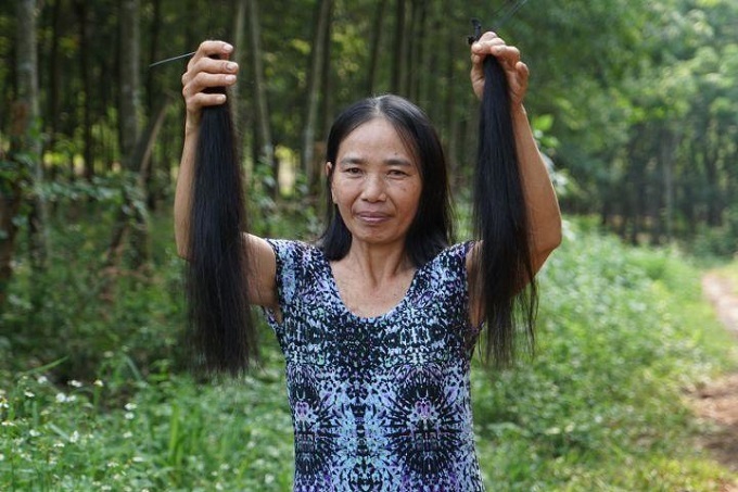 Revealing-The-Secret-Of-How-To-Collect-Single-Donor-Hair