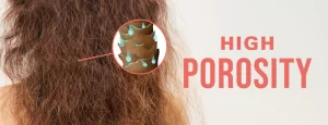 The-Ultimate-Guide-To-High-Porosity-Hair