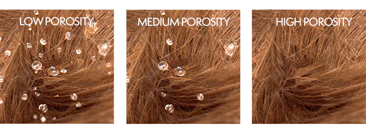 The-Ultimate-Guide-To-High-Porosity-Hair