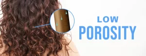 Everything-You-Should-Know-About-Low-Porosity-Hair