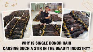 Why-is-Single-Donor-Hair-Causing-Such-a-Stir-In-The-Beauty-Industry?