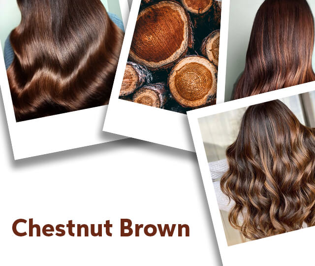 Chestnut-Brown-Hair-Color-Your-Path-To-Effortless-Sophistication