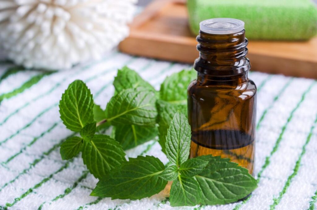 Peppermint-Hair-Oil-Benefits-And-How-To-Use-It