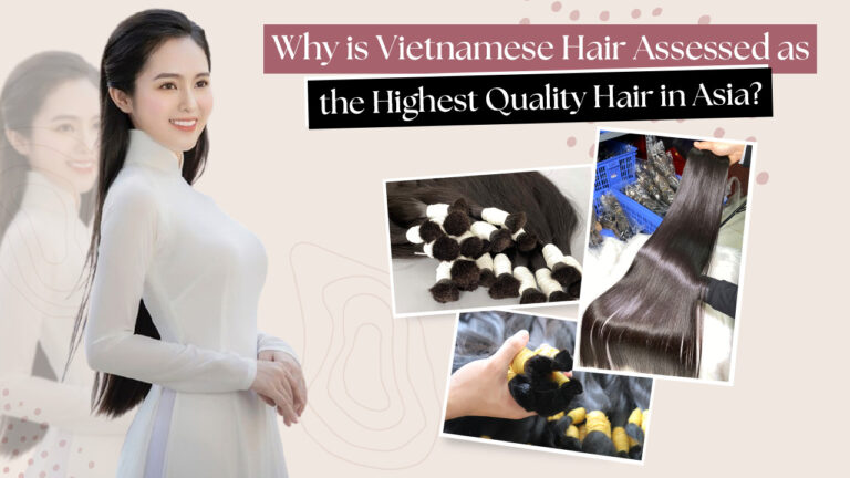 Why-is-Vietnamese-Hair-Assessed-as-the-Highest-Quality-Hair-in-Asia