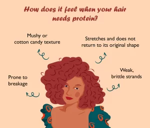 Protein-vs-Moisture-What-Do-I-Need