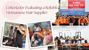 Criteria-for-Evaluating-a-Reliable-Vietnamese-Hair-Supplier