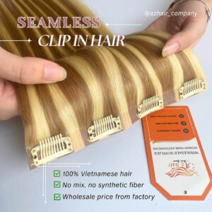 AZ-Clip-ins-hair-extensions