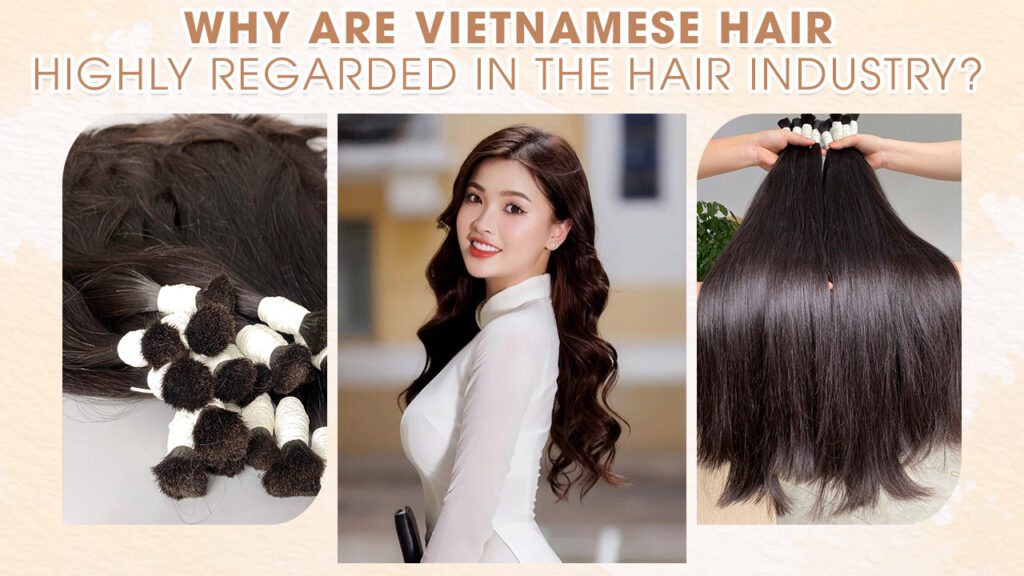 Why-Are-Vietnamese-Hair-Highly-Regarded-in-The-Hair-Industry